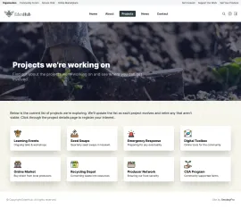 Ngo projects page